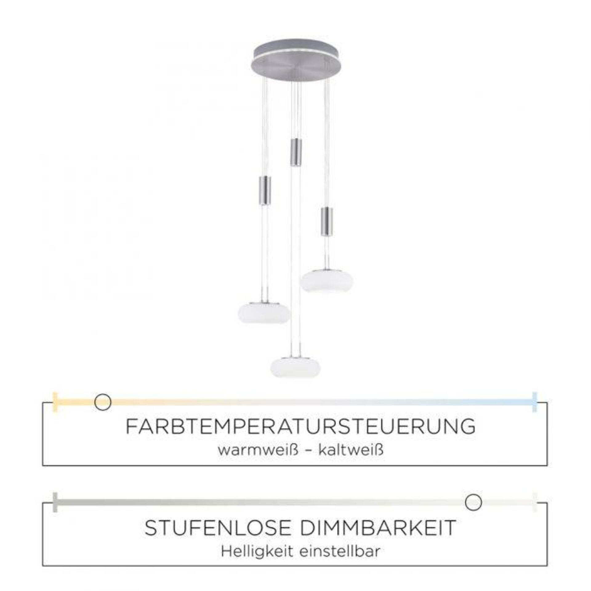 PAUL NEUHAUS, Q-ETIENNE, LED závěsné svítidlo ocel, Smart Home ZigBee 2700-5000K 2078-55