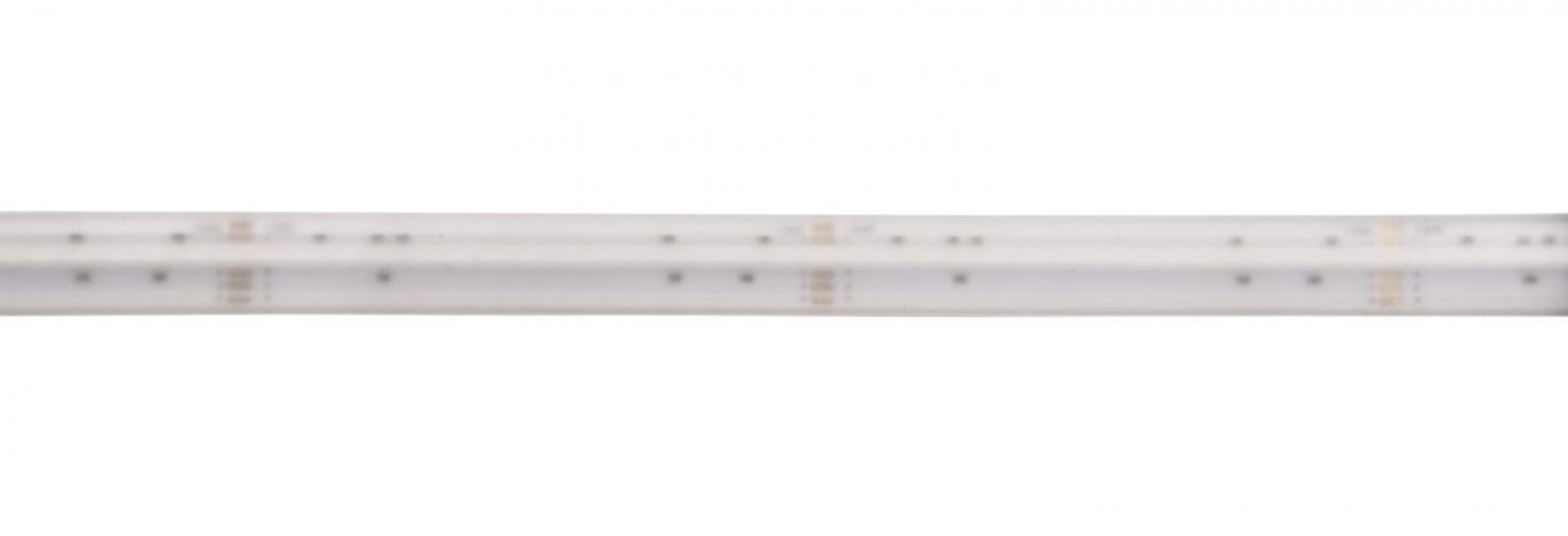 Light Impressions Deko-Light LED pásek - Sauna, COB, 24V-15W, RGB+2700K, 5m, silikon 840416