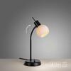 JUST LIGHT LED stolní lampa černá vypínač flexibilní nastavitelné 3000K LD 12156-18