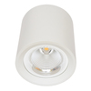 Ecolite Svítidlo přisazené, COB, 30W, 4100K, bílé MZ-DL-30W/BI