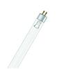 OSRAM HNS 16 W G5 4008321620774