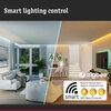 PAULMANN Filament 230V Smart Home Zigbee 3.0 LED žárovka ST64 E27 3x6,3W RGBW+ stmívatelné zlatá