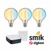 PAULMANN Startovací sada Zigbee 3.0 Smart Home smik Gateway + LED žárovka Filament G95 měnitelná bílá + vypínač