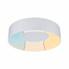 PAULMANN HomeSpa LED stropní svítidlo Casca bílá 16W WhiteSwitch 3.000K 789.46