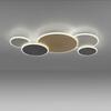 PAUL NEUHAUS Paul Neuhaus LED stropní svítidlo Q-PIATO vícebarevné 5 kruhové Smart Home ZigBee 2700-5000K PN 8008-70