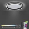 PAUL NEUHAUS Q-VITO, LED stropní svítidlo, Smart Home, průměr 59cm ZigBee 2700-5000K PN 8416-13