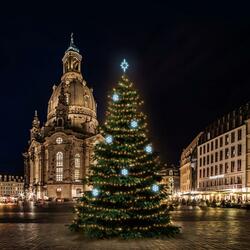 LED světelná sada na stromy vysoké 15-17m, teplá bílá s ledově bílými dekory EFD01