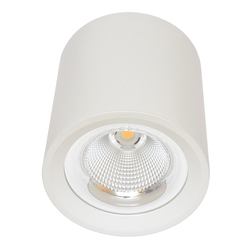 Ecolite Svítidlo přisazené, COB, 30W, 4100K, bílé MZ-DL-30W/BI