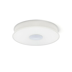 RENDL ASTERI LED přisazené svítidlo, dekorativní satinované sklo/chrom R14549