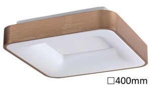 Rabalux stropní svítidlo Carmella LED 30W 5056