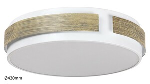 Rabalux stropní svítidlo Salma LED 24W DIM 5646