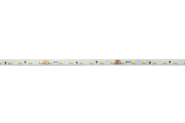 Deko-Light flexibilní LED pásek 2216-196-24V-3000-6500K-5m-Silikon 24V DC 40,00 W 3000-6500 K 3405 lm 5000 840349