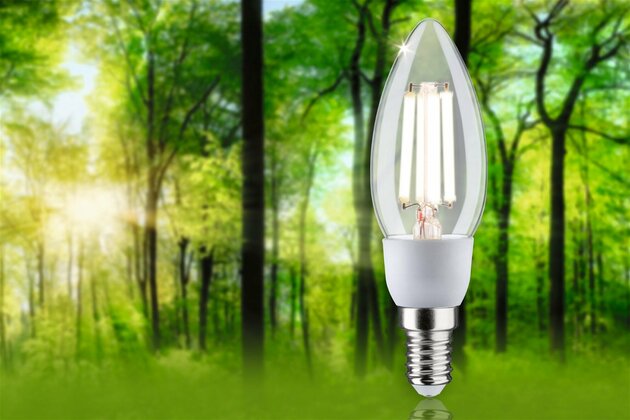 PAULMANN Eco-Line Filament 230V LED svíčka E14 2,5W 3000K čirá