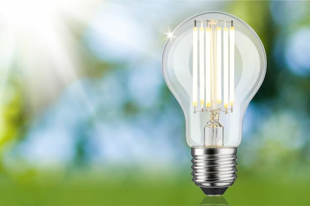 PAULMANN Eco-Line Filament 230V LED žárovka E27 5W 3000K čirá