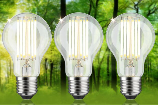 PAULMANN Eco-Line Filament 230V LED žárovka E27 3ks-sada 5W 3000K čirá