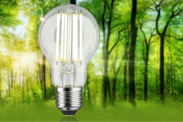 PAULMANN Eco-Line Filament 230V LED žárovka E27 5W 4000K čirá