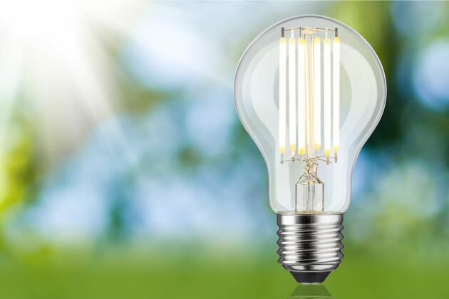 PAULMANN Eco-Line Filament 230V LED žárovka E27 7,2W 3000K čirá