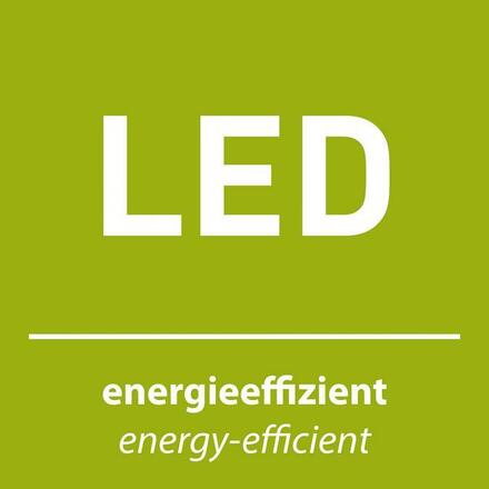 PAUL NEUHAUS LED závěsné svítidlo černá 1 ramenné stmívatelné teplá bílá subtilní design 3000K PN 2111-18