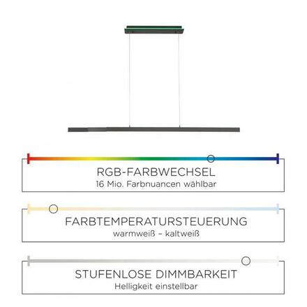 PAUL NEUHAUS, Q-ARIAN, LED závěsné svítidlo, CCT, Smart Home ZigBee 2700-5000K 2569-13